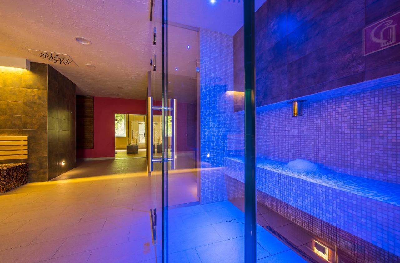 Wellness Penzión Smerdžonka - KÚPELE ČERVENÝ KLÁŠTOR Smerdžonka Exterior foto